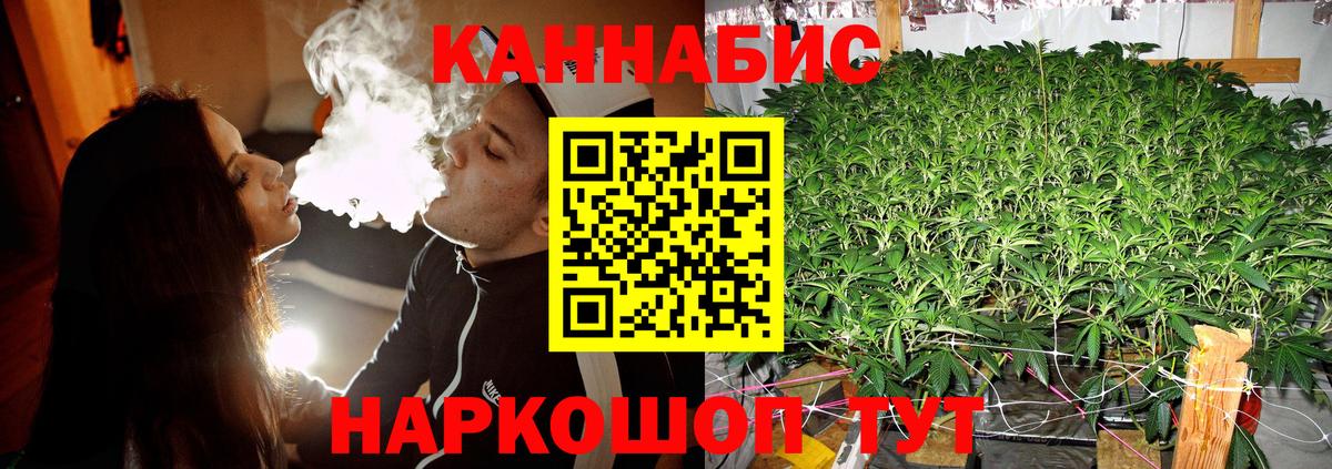 Каннабис сатива Южноуральск